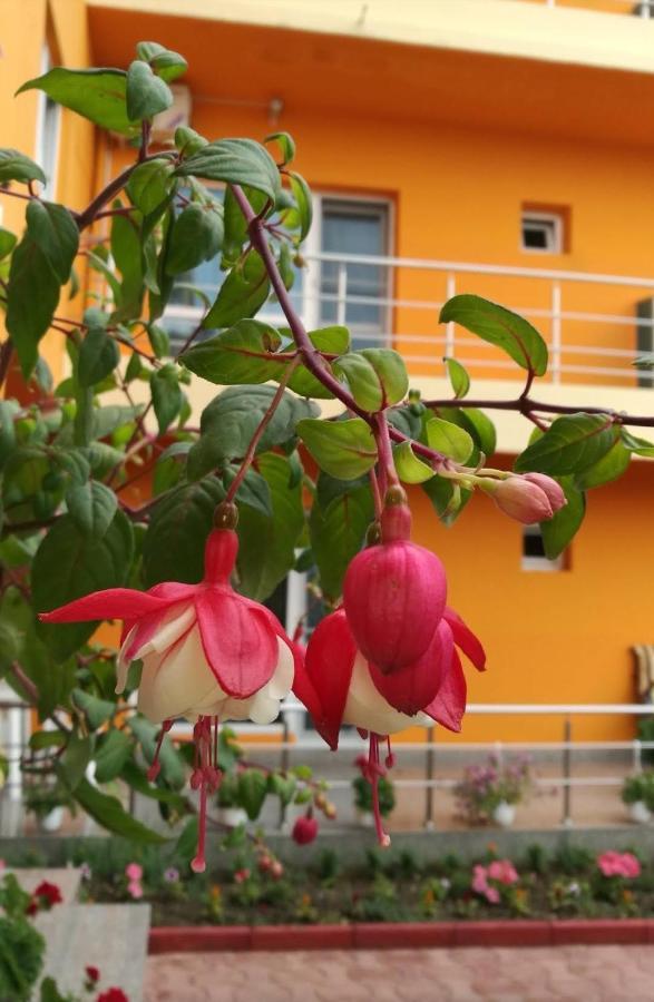 Vila Oranj Otel Costinești Dış mekan fotoğraf